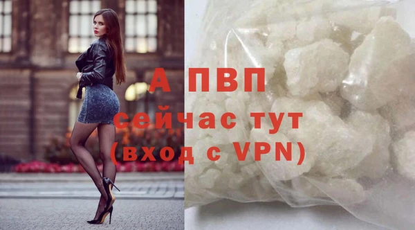 гидра Протвино