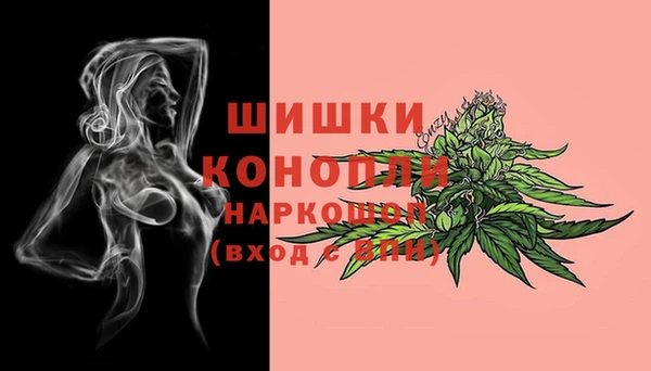 мяу мяу мука Пролетарск