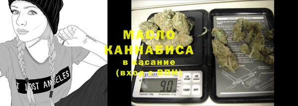индика Абинск