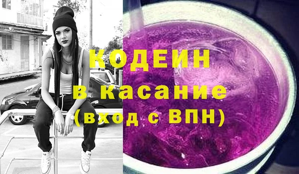 индика Абинск