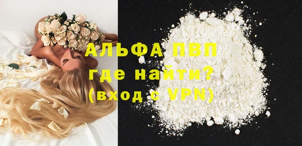 индика Абинск