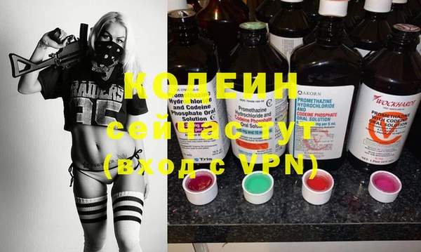 индика Абинск