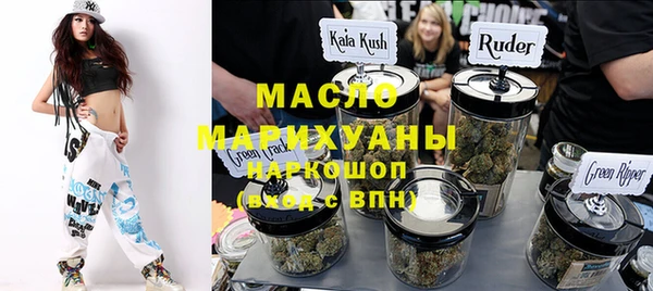 индика Абинск