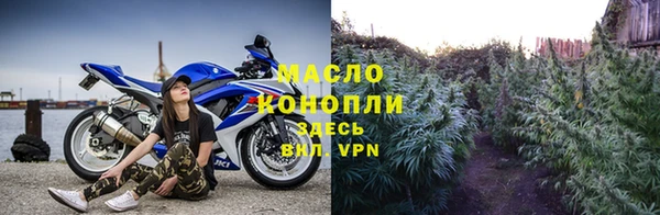 индика Абинск