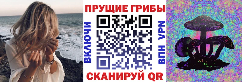 сайты даркнета наркотические препараты Никольск Псилоцибиновые грибы ЛСД